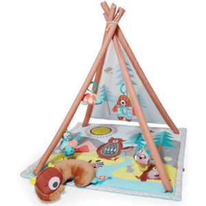 Skip Hop Camping Cubs Activity Gym